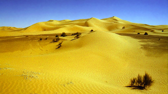 sahara