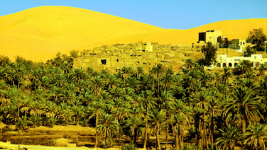 taghit
