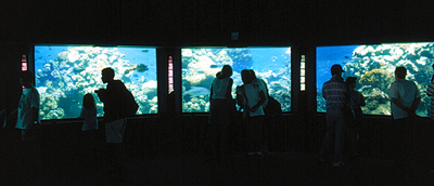 unterwasserobservatorium