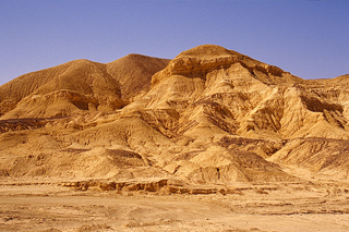 wüste negev