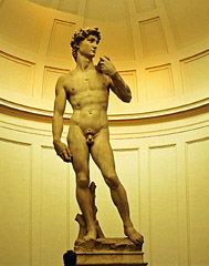 david
