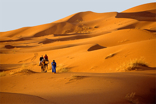 sahara